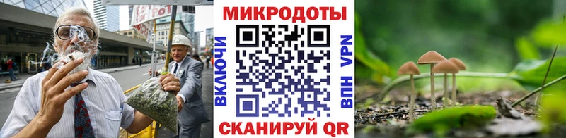 Псилоцибиновые грибы Psilocybine cubensis  купить   даркнет состав  Мытищи 